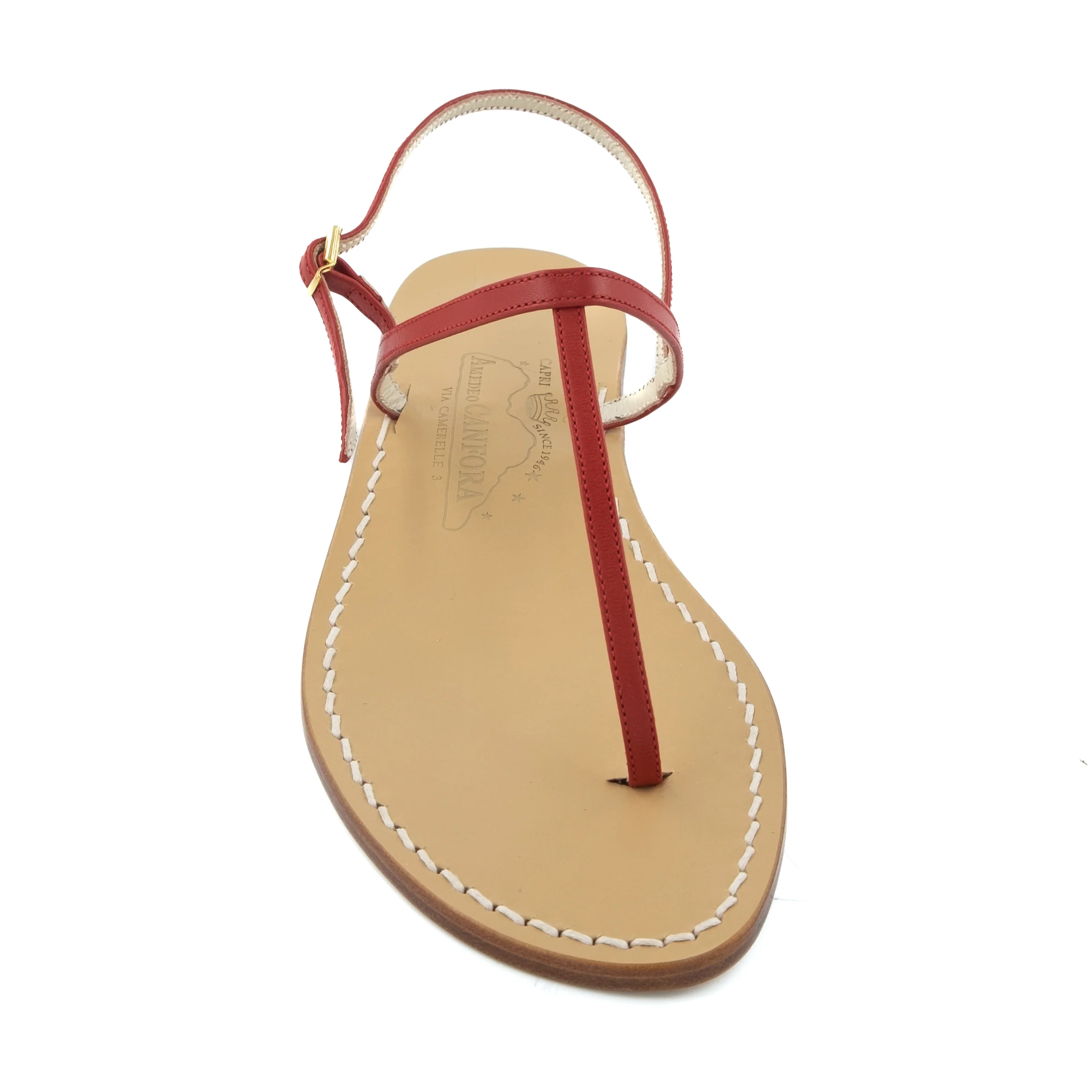Gail - Image 14
